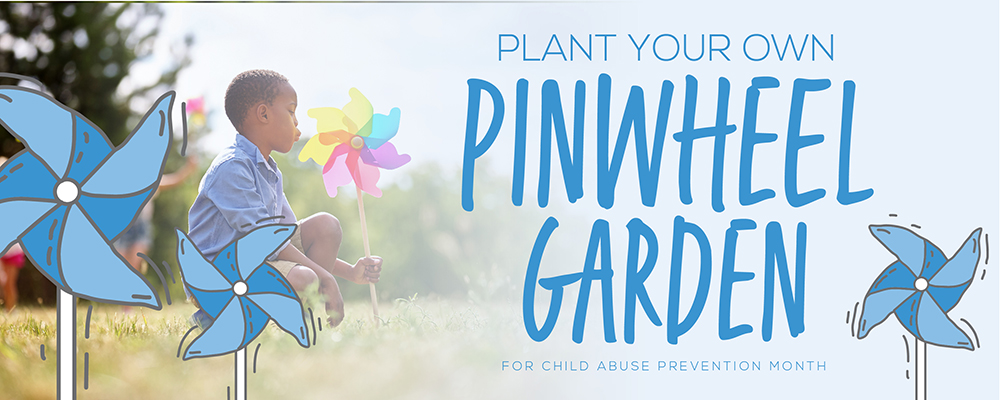 Plant Your Own Pinwheel Garden