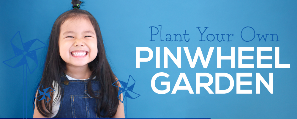 Plant Your Own Pinwheel Garden